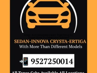 shree tours and travels